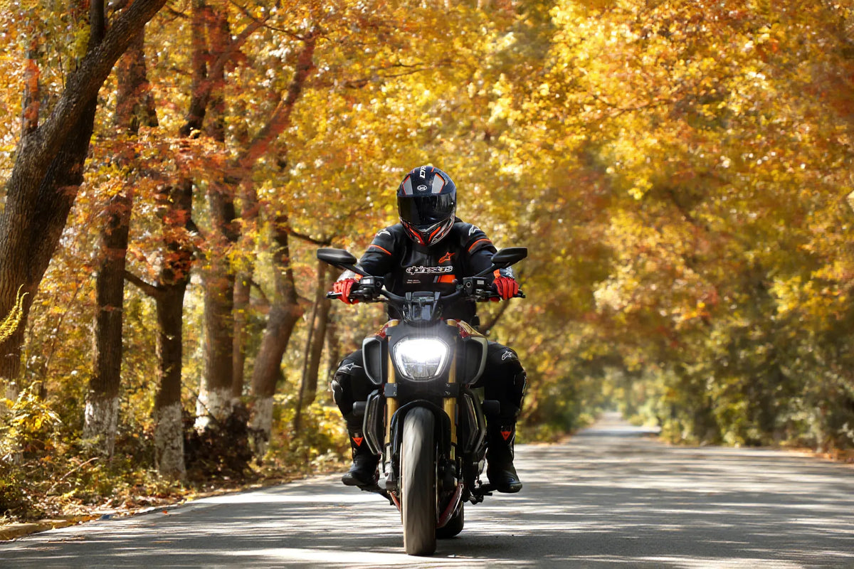 Rider on a naked bike on a road lined with autumn trees